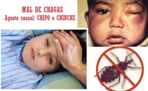 Las Otras Enfermedades 1 Medicamento Aprobado Contra El Chagas En