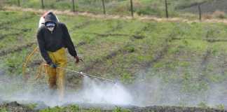 Uso de agroquímicos en fincas