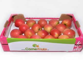 Cajones de cartón para fruta