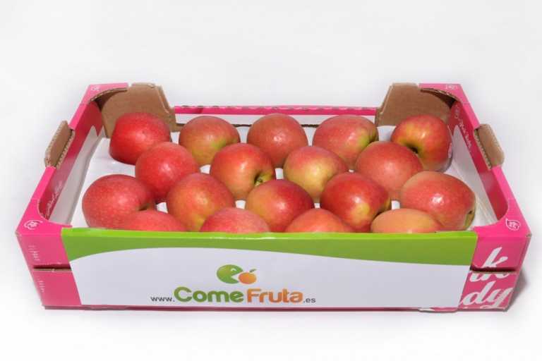 Cajones de cartón para fruta