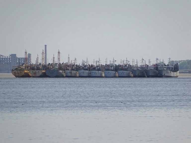 Barcos pesqueros extranjeros depredan el mar argentino gracias a subsidios estatales