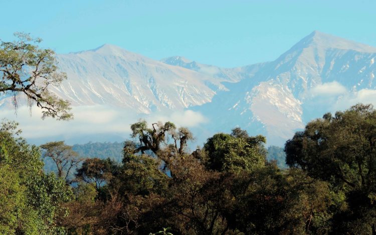 Argentina sumó un nuevo Parque Nacional a su acervo ambiental y turístico