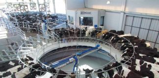 Las entidades agropecuarias piden créditos blandos y mejor precio para salvar la industria láctea.