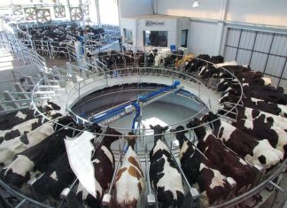 Las entidades agropecuarias piden créditos blandos y mejor precio para salvar la industria láctea.