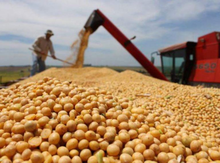 Por el conflicto entre EE.UU. y China, cae el precio de la soja