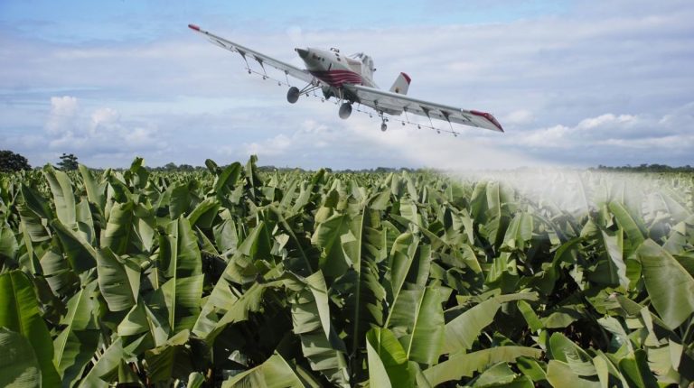 Bayer anuncia una inversión de u$s 5.600 millones en herbicidas alternativos al glifosato