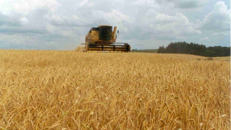 Rusia y Ucrania firmaron en Turquía un acuerdo sobre exportación de granos