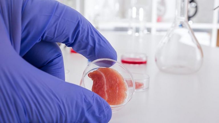 Científicos argentinos buscan crear carne ‘in vitro’ para no matar animales