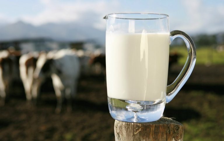 Cayeron las ventas de lácteos 13% en los primeros cinco meses del año