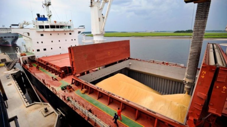 Alarma: Argelia rechazó un embarque de trigo argentino por mala calidad