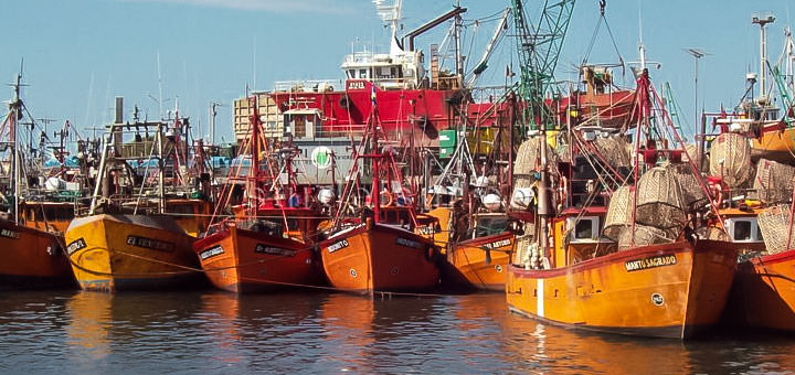 «El gobierno prorroga por 15 años las cuotas de pesca para condicionar la política futura»