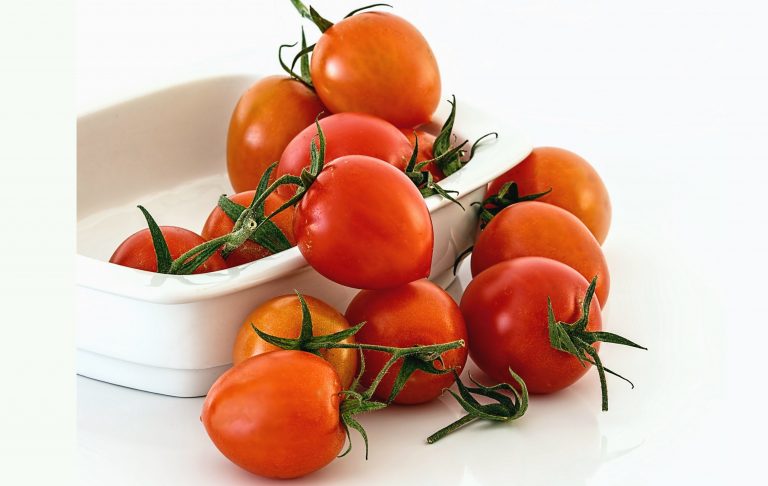 Un proyecto de investigación de la UBA para recuperar el sabor del tomate