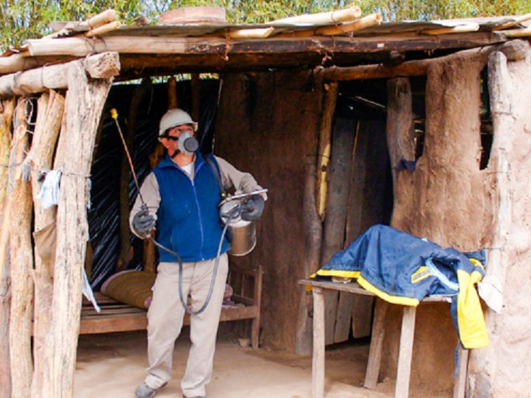 Eliminan al vector del Chagas en comunidades indígenas del Chaco argentino