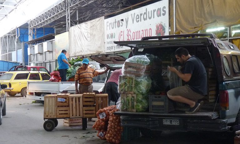 Mendoza: cayó un 50% la frutihorticultura