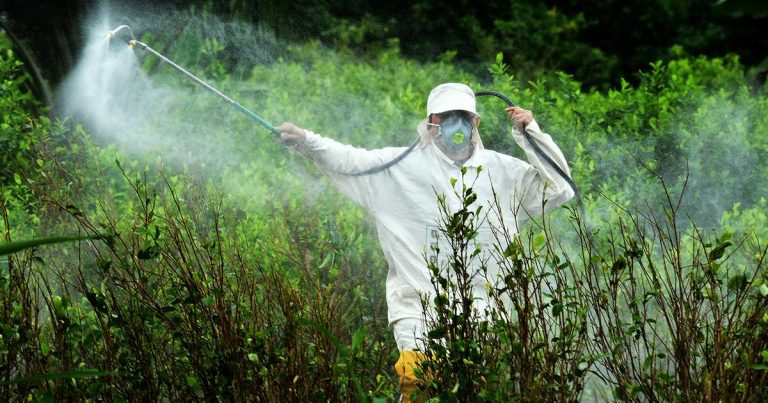 Suspenden venta y aplicación del herbicida Wenko NT