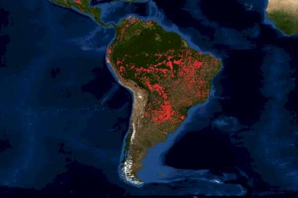 72.843 incendios en Amazonas durante 2019
