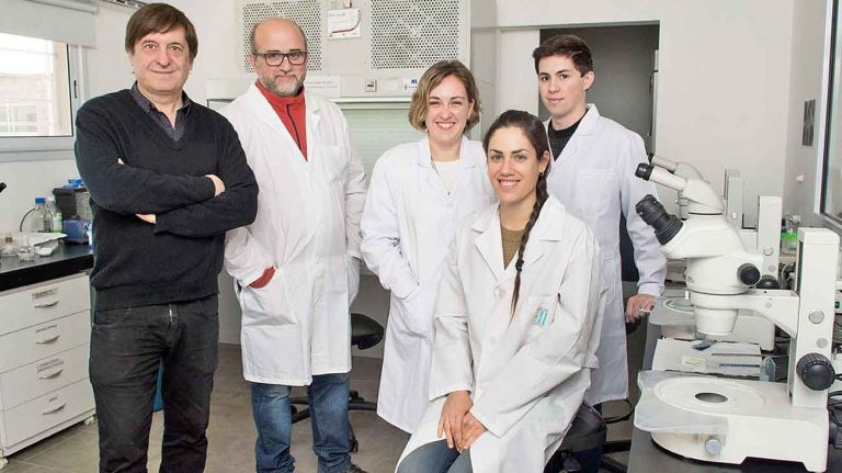 Científicos argentinos: edición genética para trasplantes de órganos animales a humanos