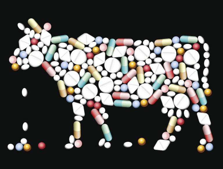 Aparecen más bacterias resistentes a medicamentos en la producción de carne