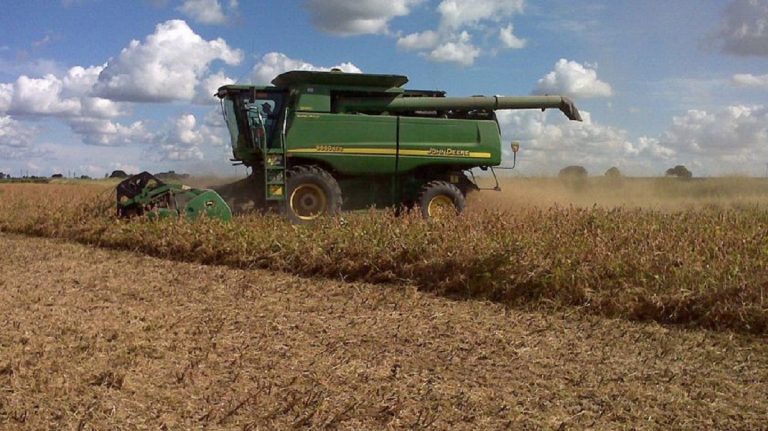 Se estima la proxima cosecha de trigo y cebada que aportará más de u$s4.500 millones