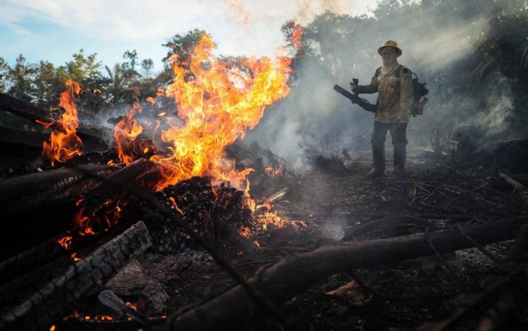 Se duplicó la deforestación de Amazonia desde la asunción de Bolsonaro