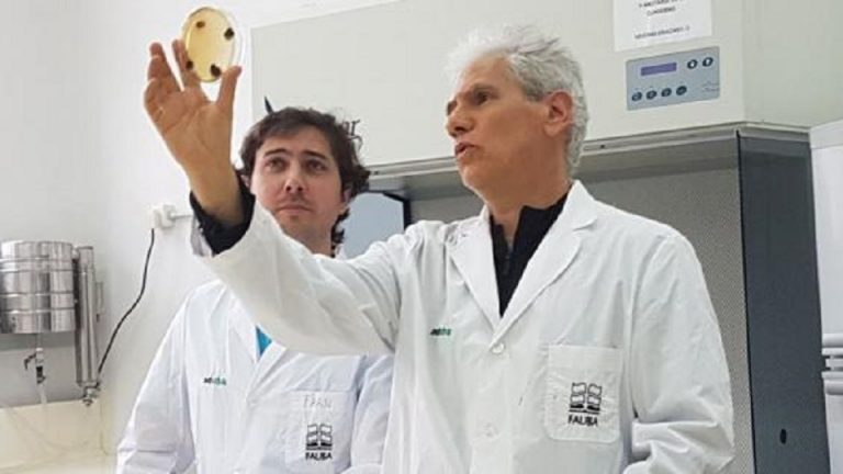 Científicos argentinos descifran el genoma del hongo de la soja