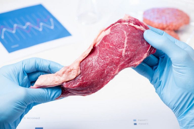Bifes de laboratorio: ¿qué es la «carne artificial»?