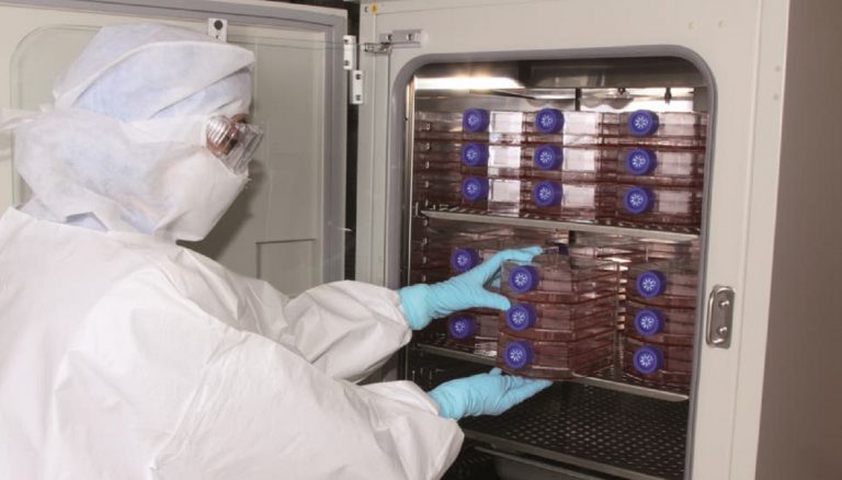 Carne cultivada: un laboratorio porteño ya la fabrica