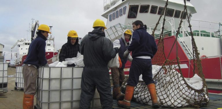 Gran Bretaña cambia las leyes de pesca en Malvinas, a causa del Brexit