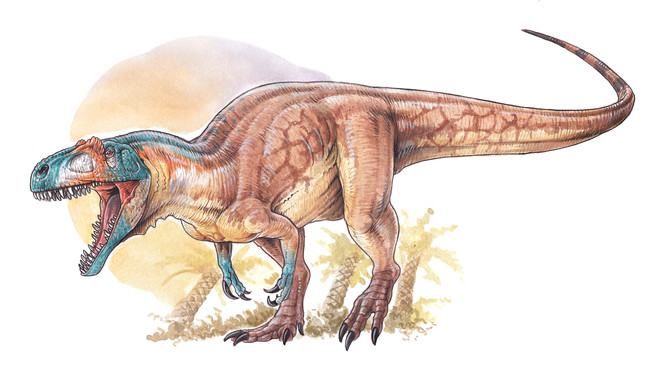 Hallan en la Patagonia uno de los más antiguos dinosaurios carnívoros del Jurásico