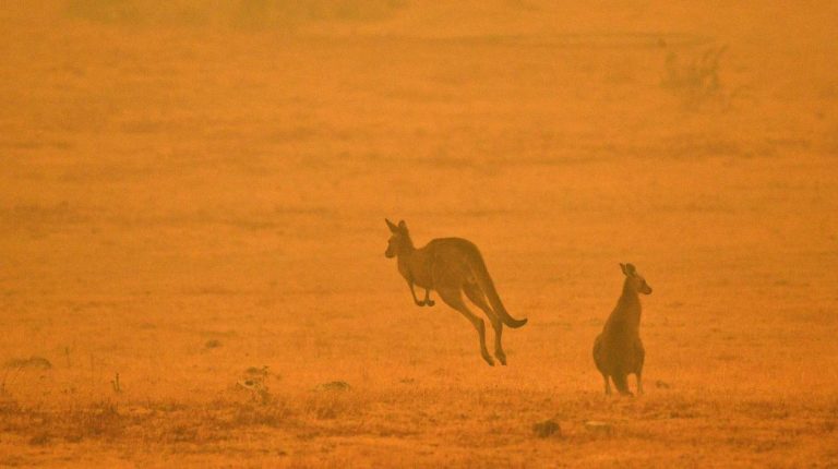 Las tormentas de fuego en Australia «Ingresamos en otra etapa geoclimática» – I