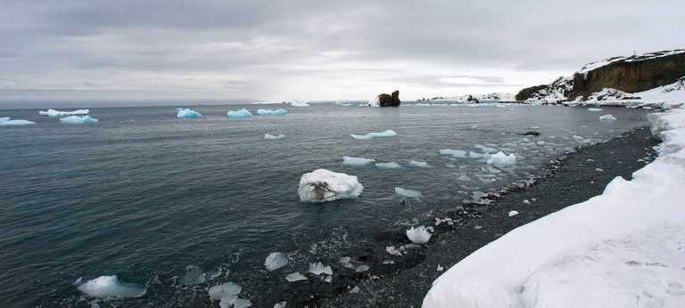 Calentamiento global: en la Antártida Argentina se registró una temperatura de 18,3ºC