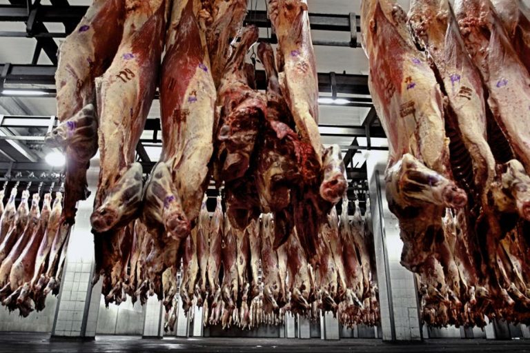 Las exportaciones de carne fueron las mayores en medio siglo