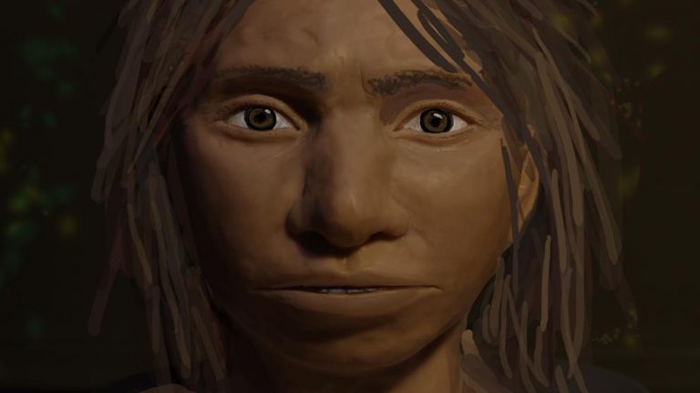 El primer mestizaje: hace 700 mil años