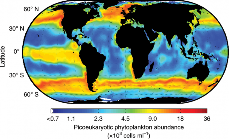 Científicos del Conicet mapearon la distribución de los microorganismos que producen el 10% del oxígeno de la Tierra
