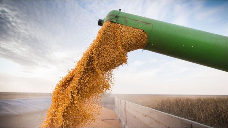 Los precios internacionales de la soja, el trigo y el maíz son los más altos en muchos meses