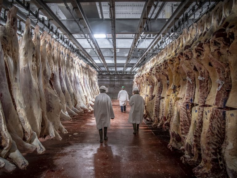El gobierno baja un 30% el precio de la carne y subsidiarán el engorde de hacienda
