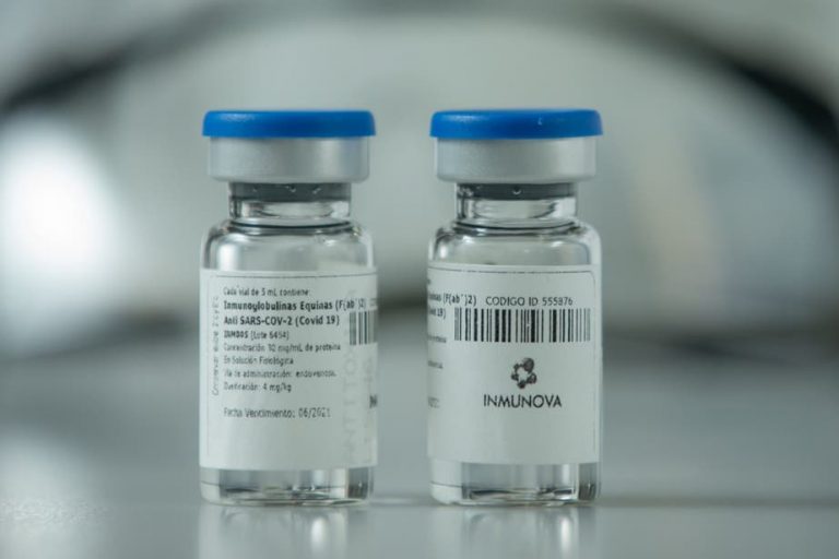 Científicos argentinos desarrollaron un suero capaz de neutralizar al coronavirus en tests de laboratorio