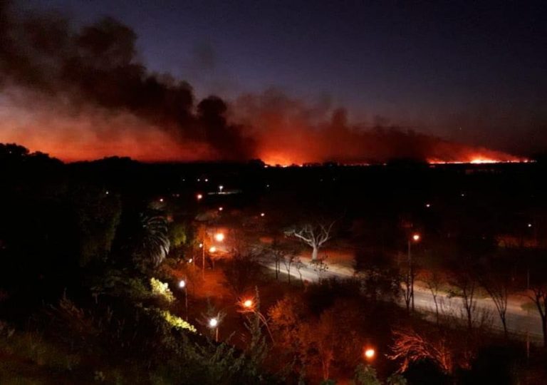 900 mil hectáreas ya ardieron en el Delta del Paraná. La bajante del río y los incendiarios