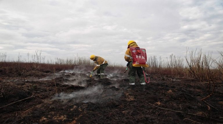Argentina acumuló este año 69.632 focos de incendios hasta el 30/10. En el 95% hay responsabilidad humana
