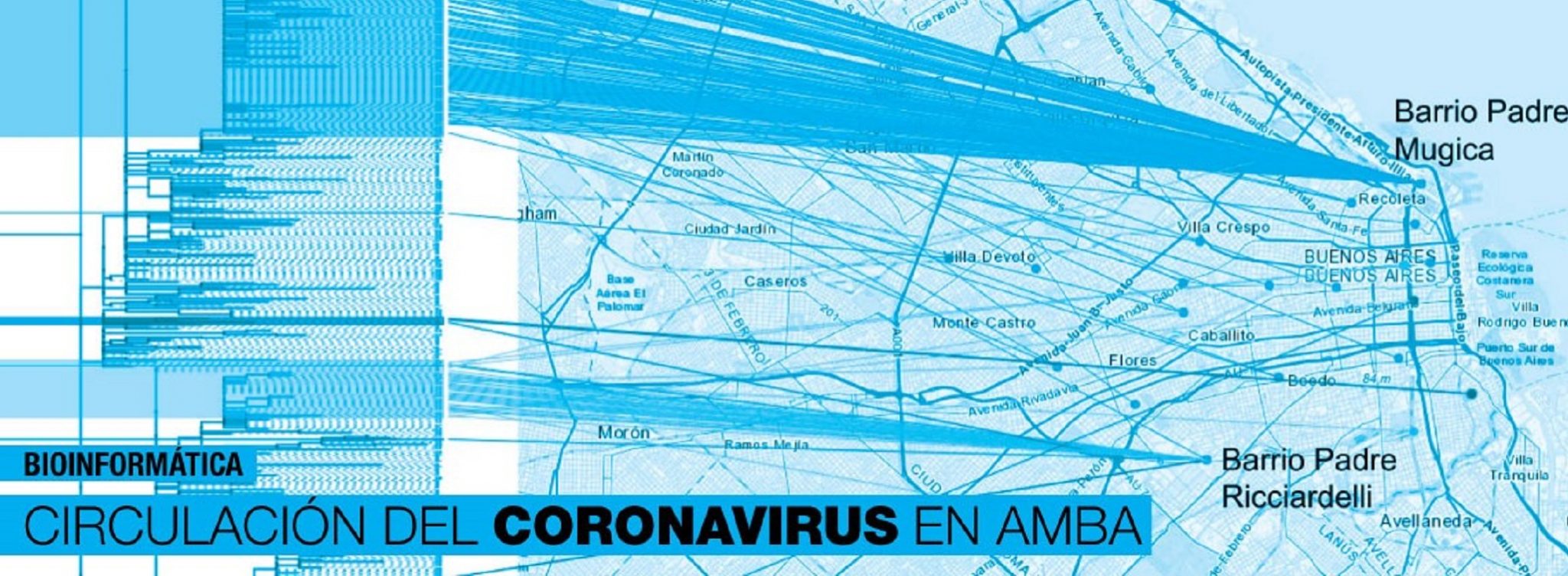 La circulación del virus COVID19 en Argentina AgendAR