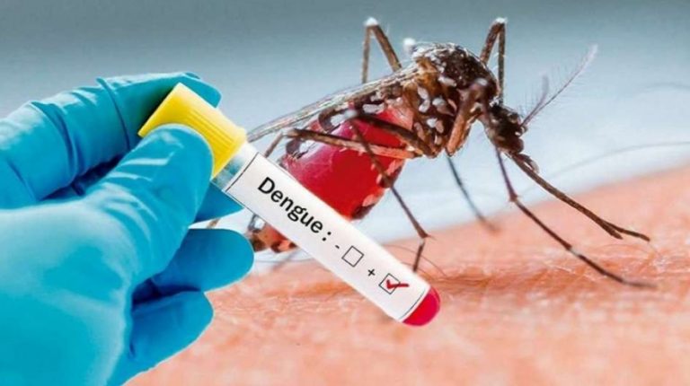 ¿Qué le pasa a la persona infectada con dengue? Y qué debe hacer
