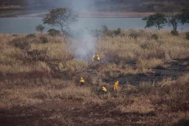 Los ganaderos de Entre Ríos rechazan acusaciones por los incendios en el Delta
