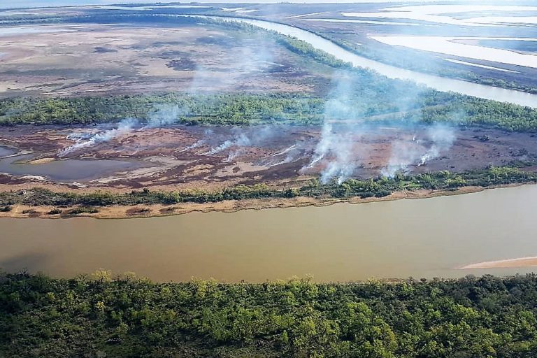 Los incendios en Corrientes, el carpincho quemado y la Ley de Humedales