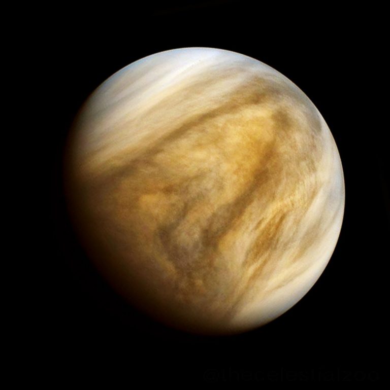 Qué son los «indicios de vida» en Venus