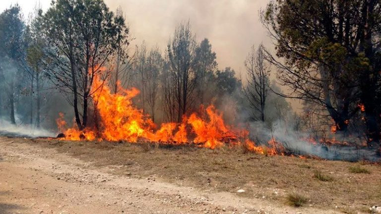 Los incendios en Córdoba. Información satelital de CONAE: entre 1987 y 2018 ardió 58% de las sierras