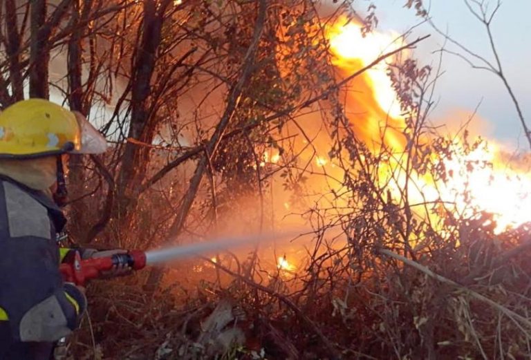 Incendios en Chaco y en todo el Norte. Se queman bosques y ganados