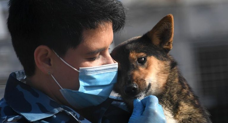 La raza de perros que «huele» el coronavirus