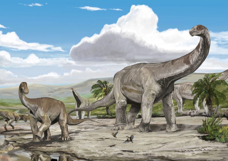 Los últimos gigantes: hallan restos fósiles de titanosaurios en La Rioja, Argentina