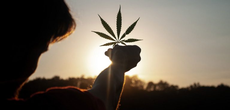 Avanza la «normalización» del cannabis. Señales en la OMS y en la Cámara de Representantes de EE.UU.