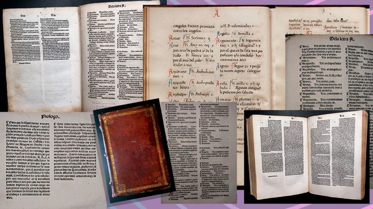 Cinthia Hamlin, del CONICET, descubrió el diccionario más antiguo de la lengua castellana